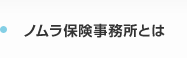 ノムラ保険事務所とは