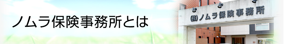 ノムラ保険事務所とは