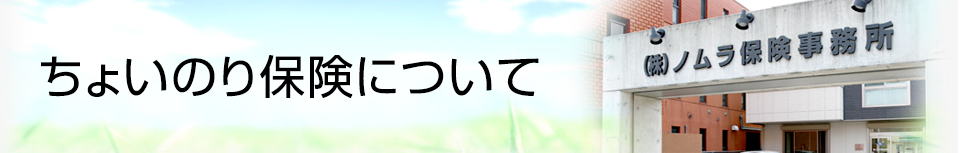 ちょいのり保険について 