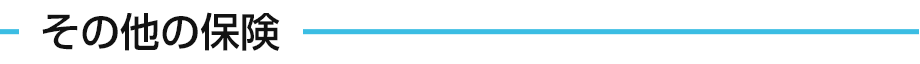 その他の保険