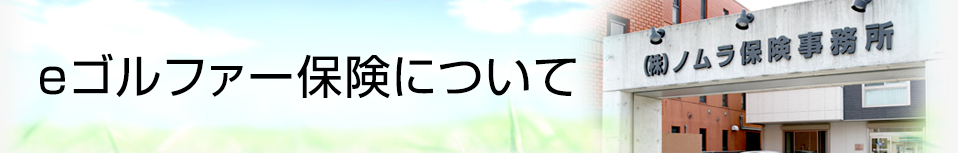 eゴルファー保険について