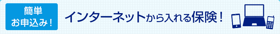 インターネットから入れる保険！