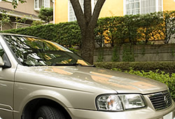 万全の事故対応でお客様をお守りいたします