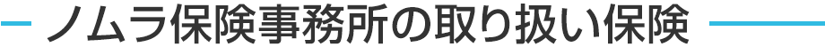 ノムラ保険事務所の取り扱い保険